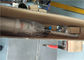 Type court pompe à piston pneumatique de pompe à huile pneumatique de baril de tube de 600mm RongXing